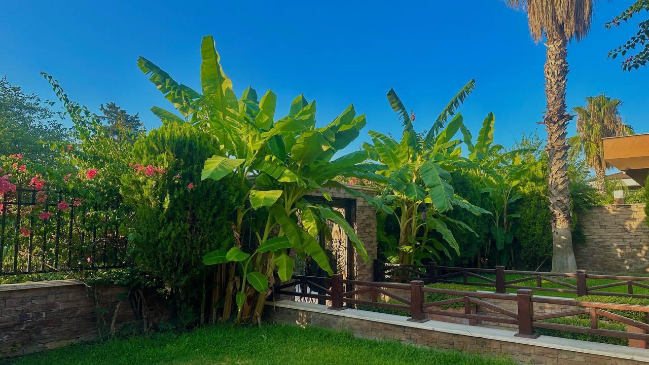 Property 1624