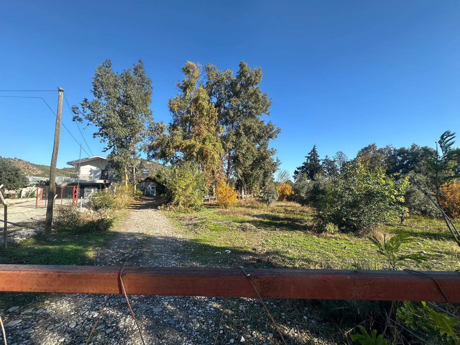 Property 1618