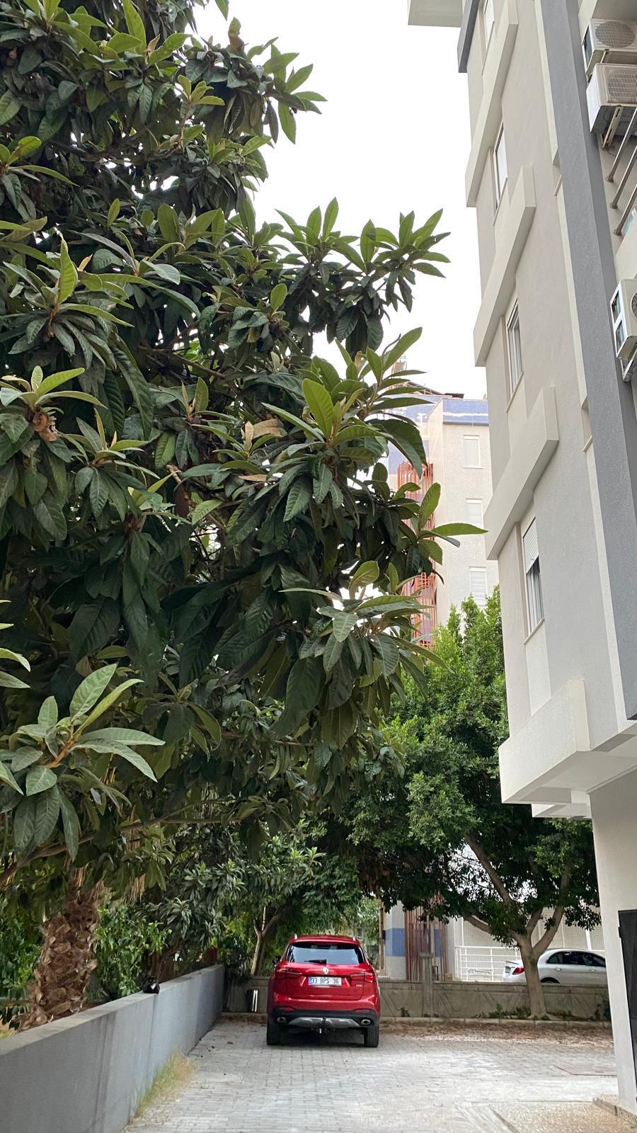 高端3+1复式公寓出售 - 康雅尔提·阿尔廷库姆