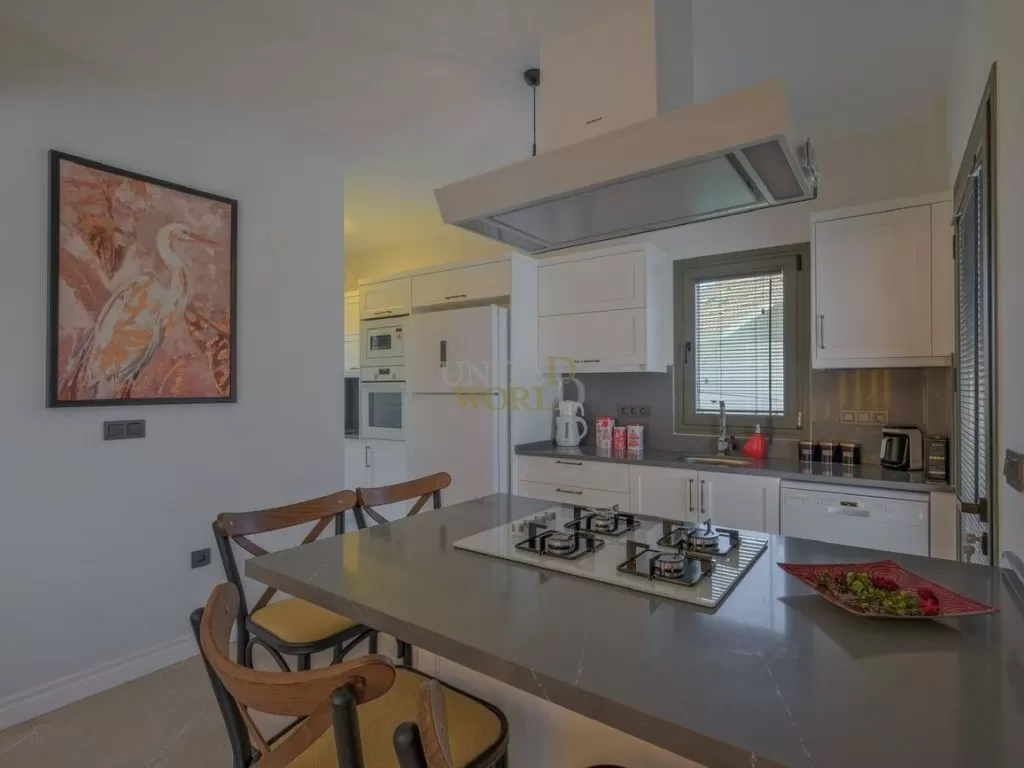 modern_villa_in_fethiye_suitable_for_citizenship_(13)1.jpeg