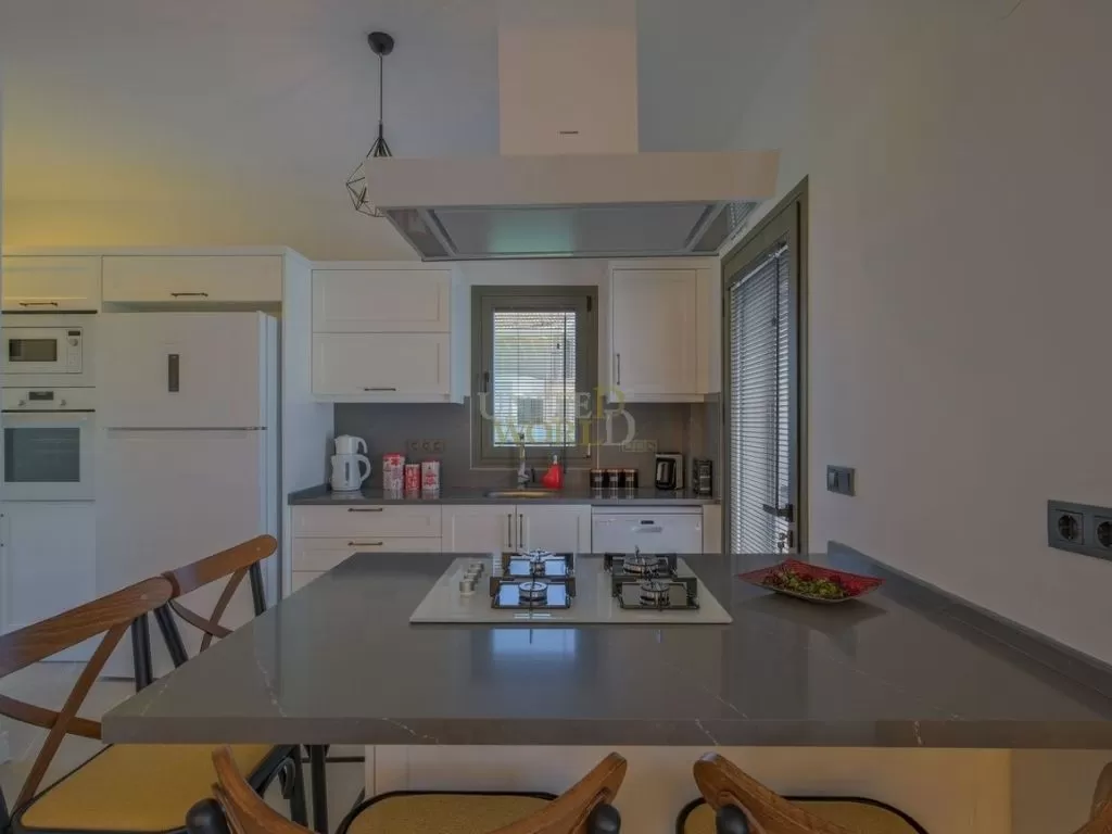 modern_villa_in_fethiye_suitable_for_citizenship_(16)1.jpeg